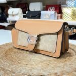 Co tabby 20 - Apricot Df - Image 3
